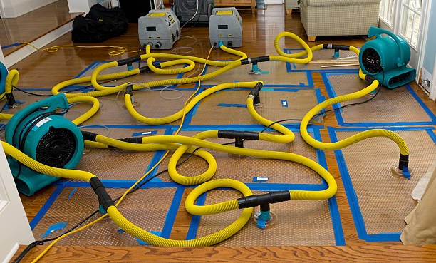 Professional Basement Flood Cleanup technician working in Waynesboro, TN